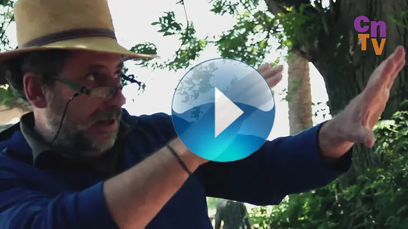 Recordamos a Ricardo Larraín y su legado en nuestras pantallas