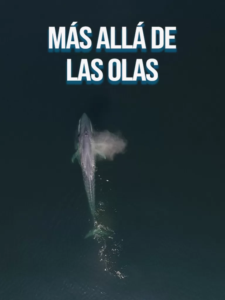 Más Allá de las Olas