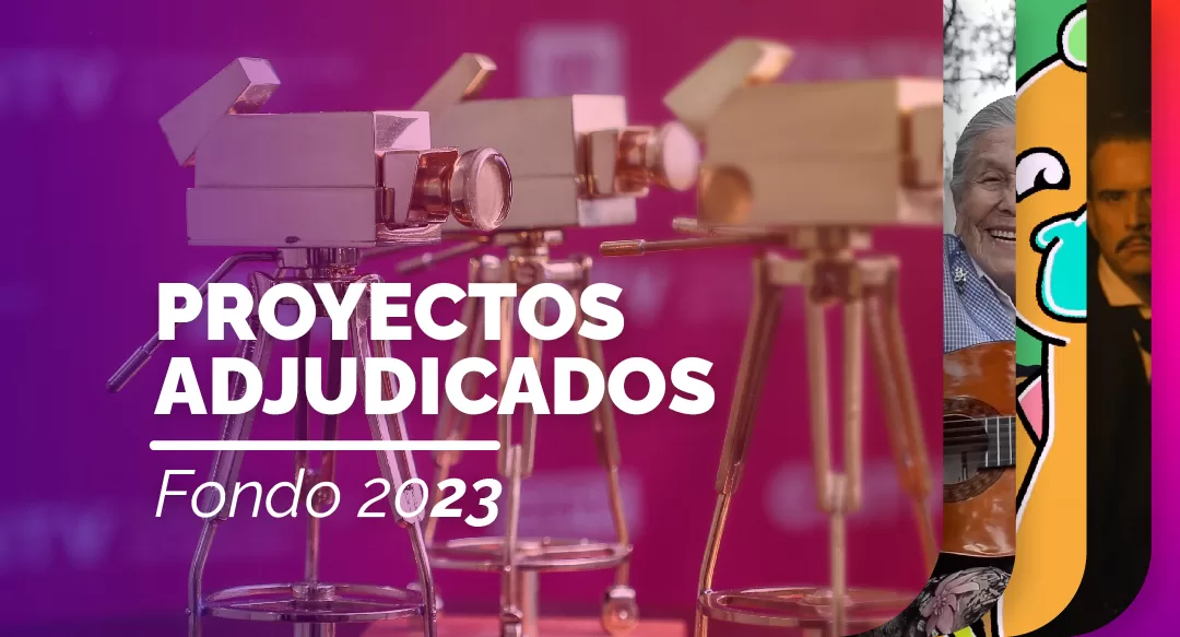 proyectos fondo 2023
