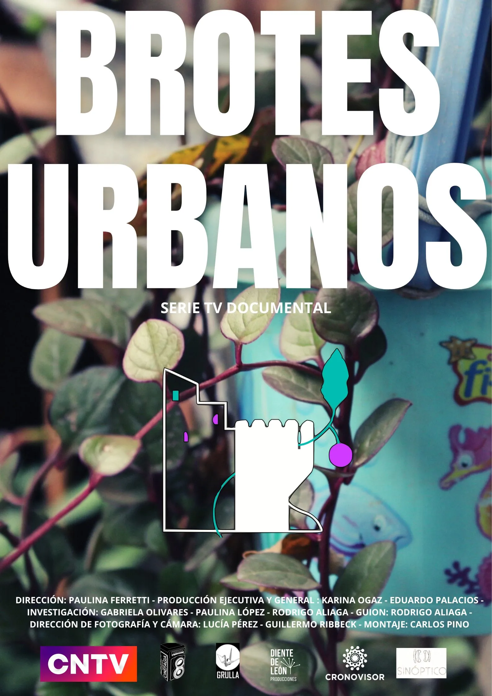 Brotes Urbanos