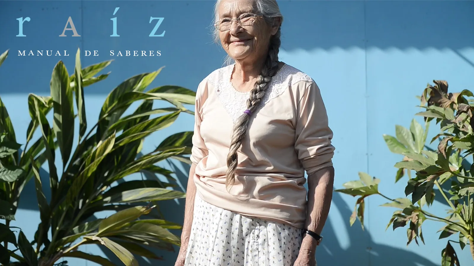 Raíz, manual de saberes